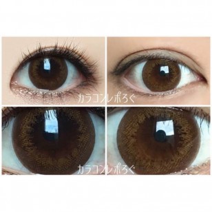 FLANMY Doughnut Brown 10片裝